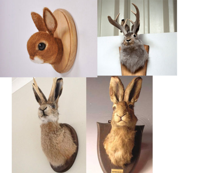 0_1501956186743_rabbit-mounts.jpg