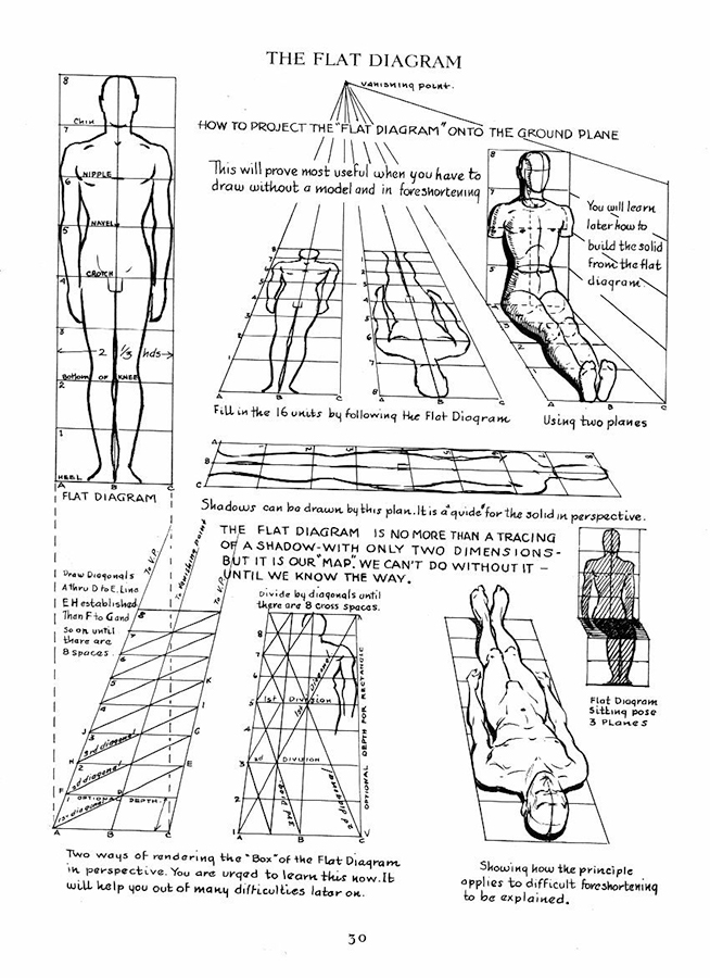 0_1509755626665_flat diagram loomis.jpg