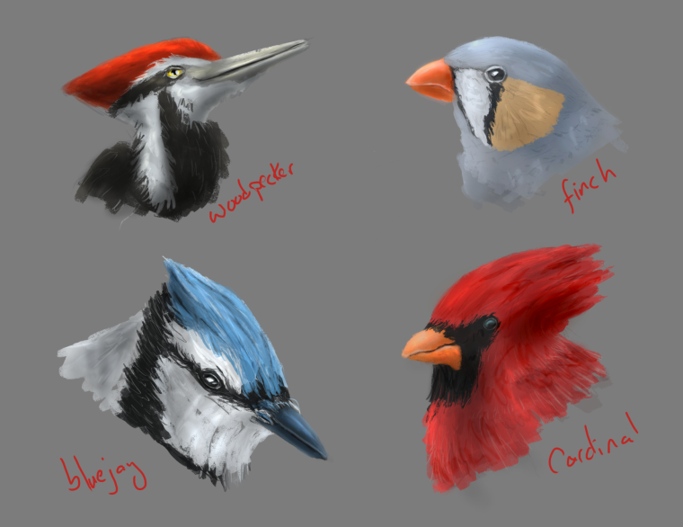 0_1525566049940_bird study.png