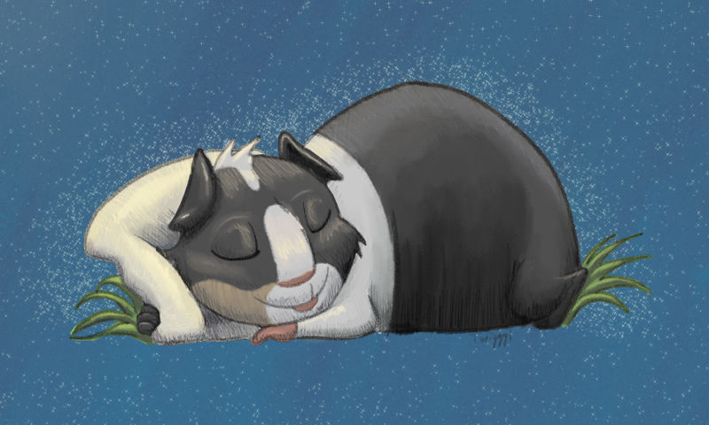0_1541622813296_day-7-panda.jpg