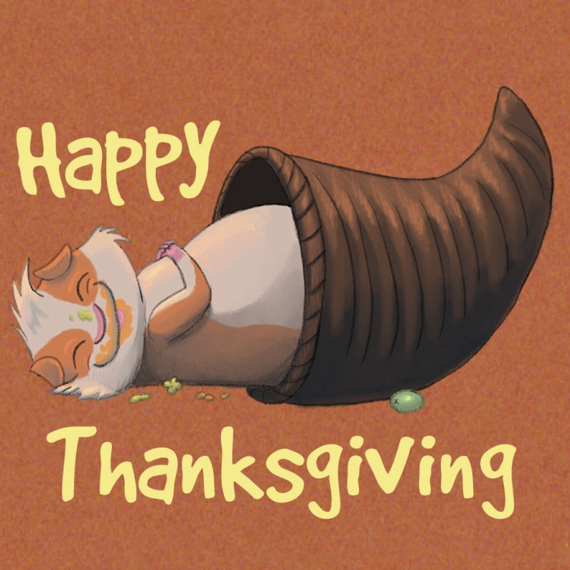 0_1543274543393_Day-20-Cornucopia-Insta.jpg