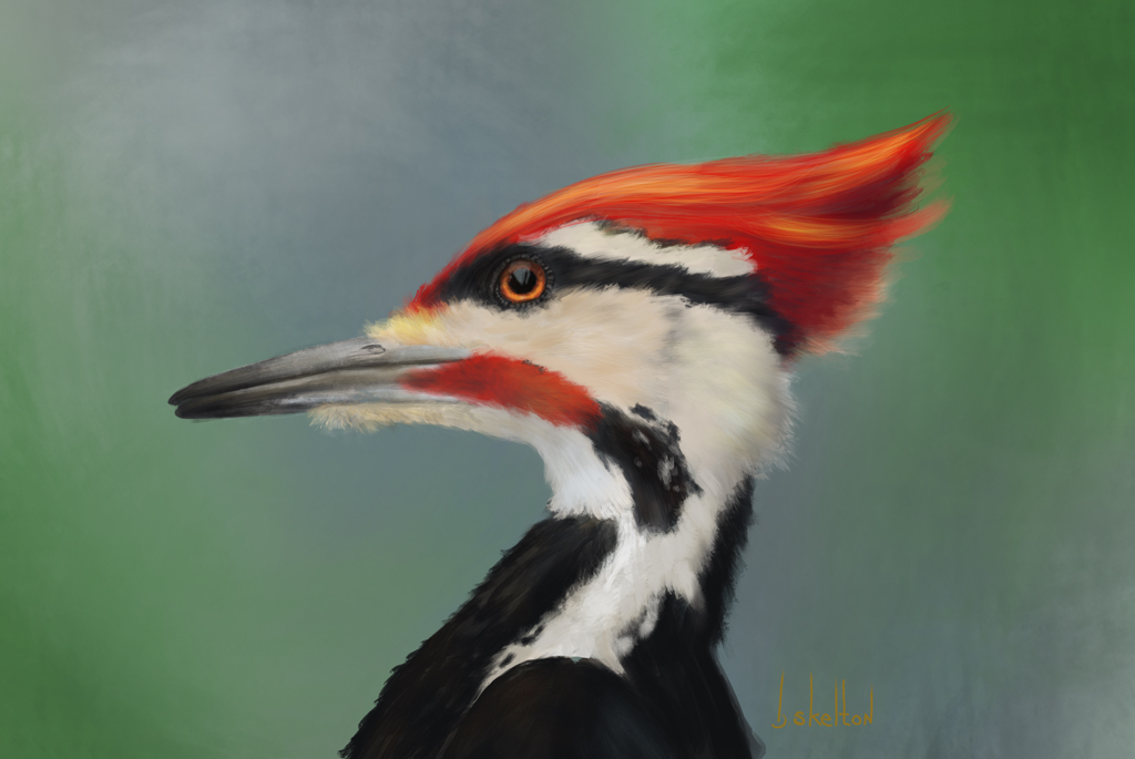 woodpecker_small.jpg