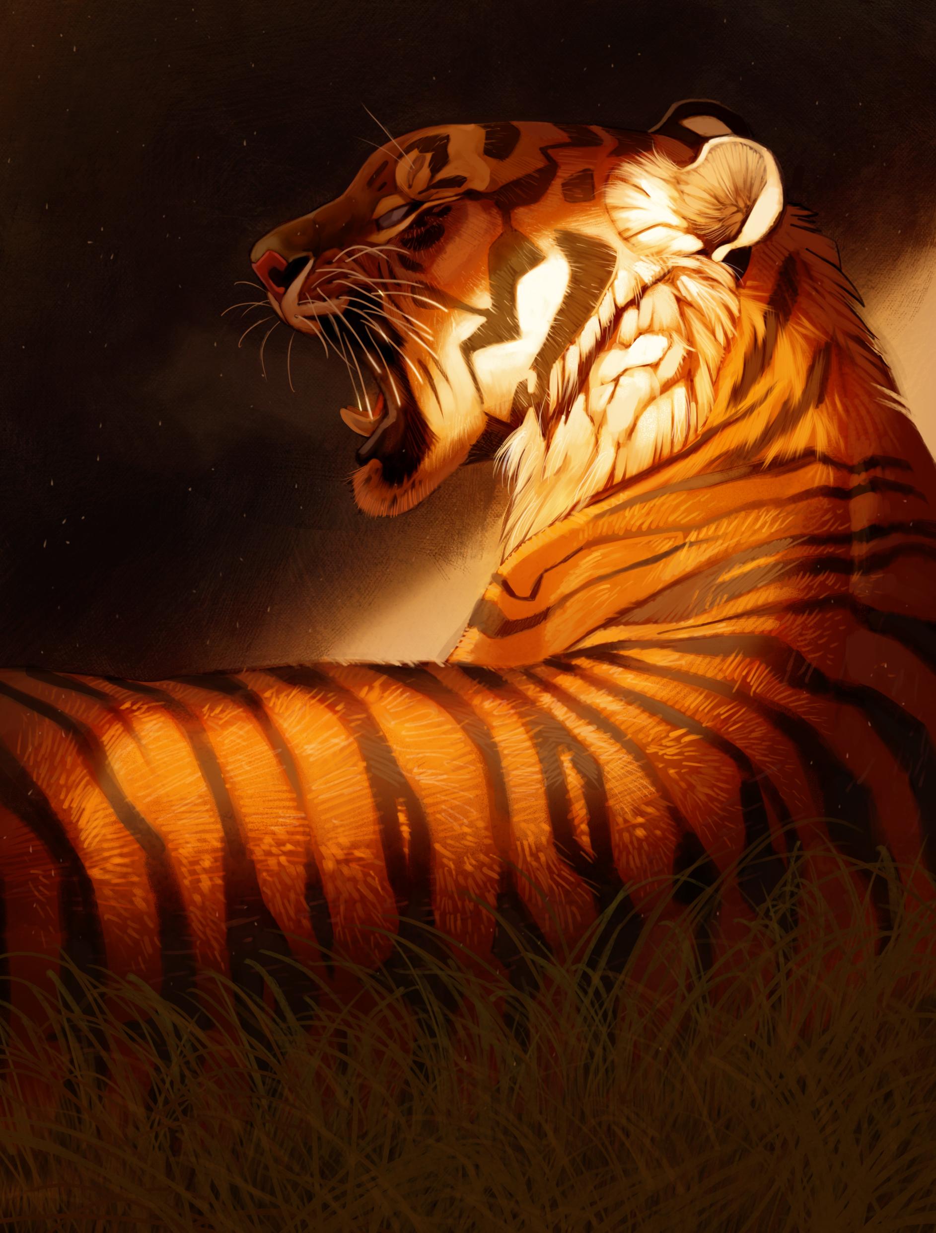 tigersong (wecompress.com).jpg