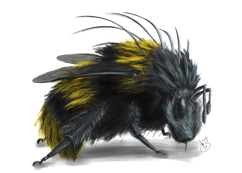 bee concept.png
