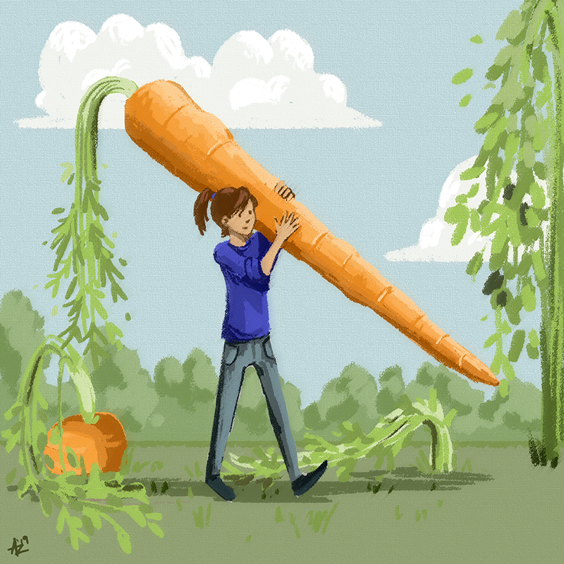 carrots(small).png