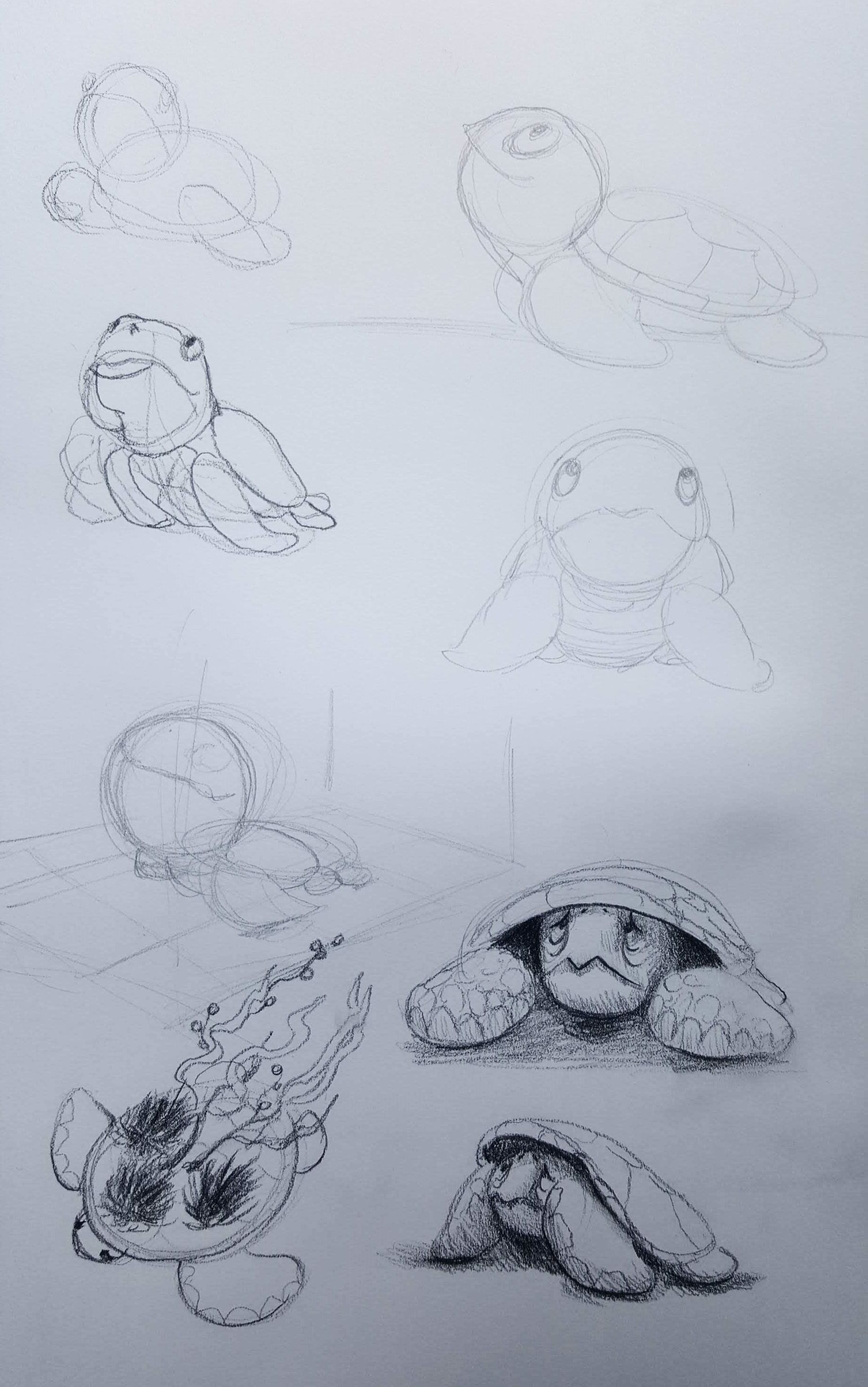 turtle concepts.jpg