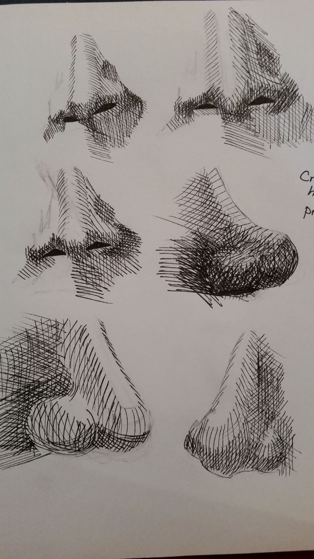 crosshatching practice.jpg