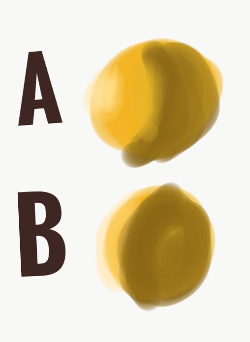 1FDDEAA5-AB95-4EDB-9D98-03F60C261968.jpeg