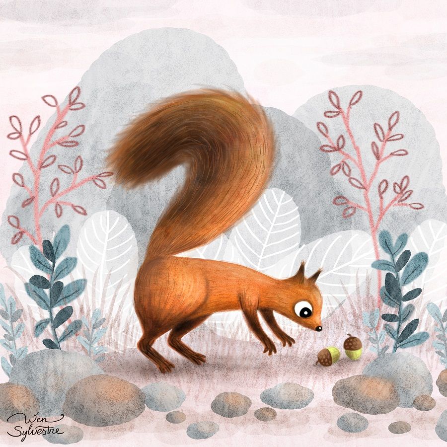 Squirrel illustration by Wen Sylvestre.jpg