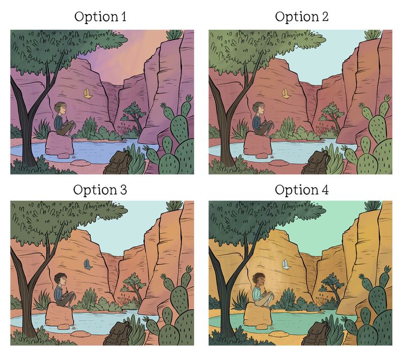 BV00061 - Boy Drawing Bird - Color Comps.jpg
