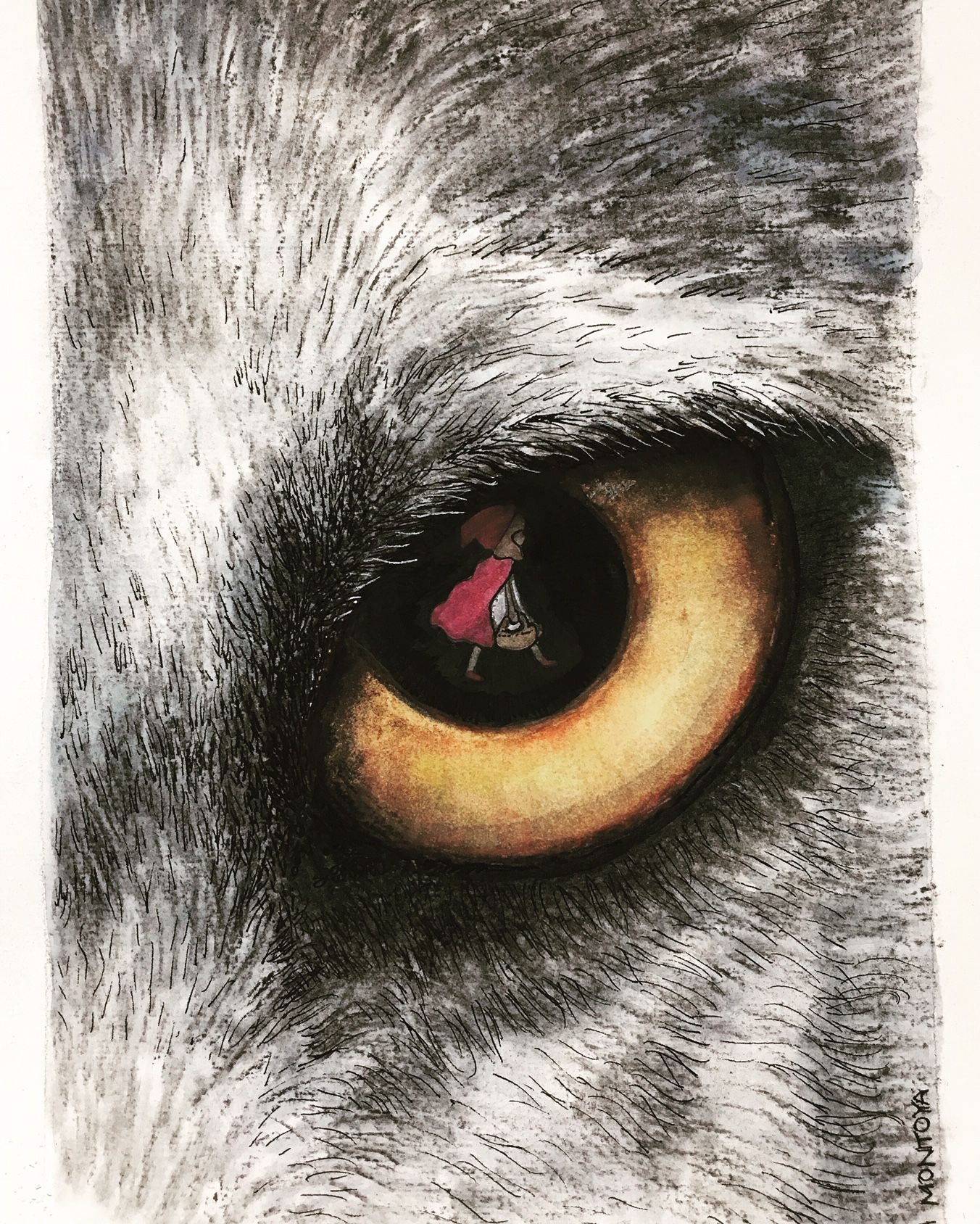 Wolf eye RRH.JPG