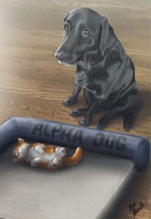 Arleigh with bed lo res.jpg