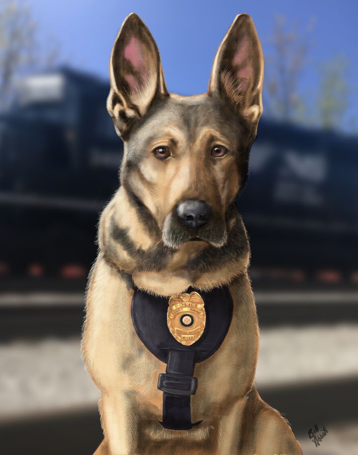 K9 Karr full lo res.jpg