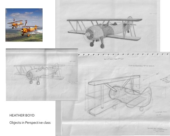 Objects in Perspective for curriculum critique.jpg