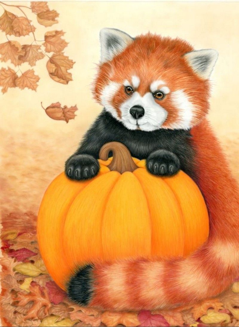 Red Panda with Pumpkin, Amanda Bancroft.jpg