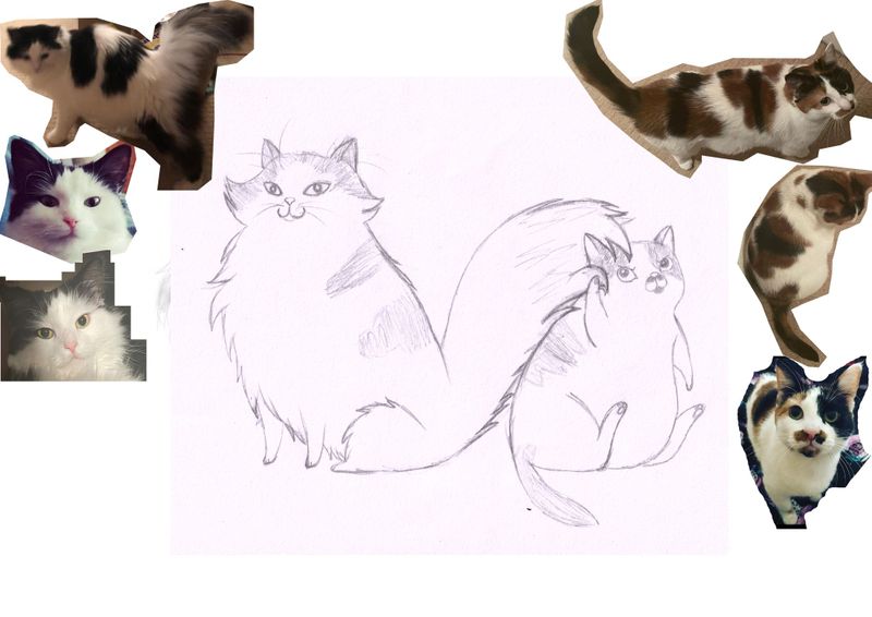 Cats-rough.jpg