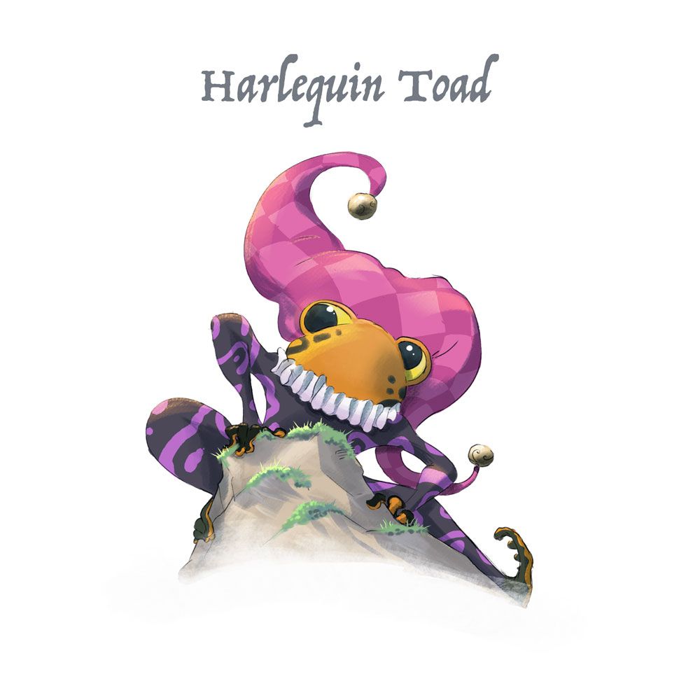 harlequin-toad.jpg
