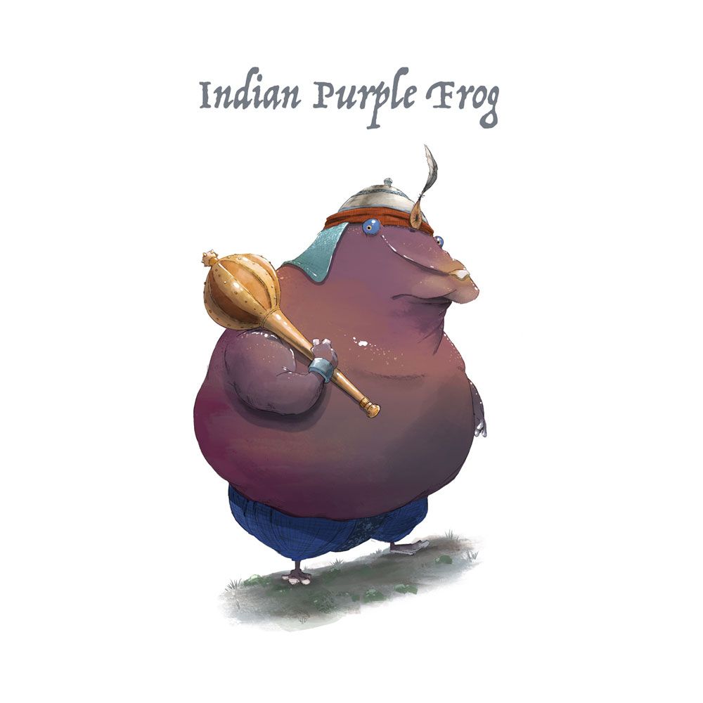 indian-purple-frog.jpg