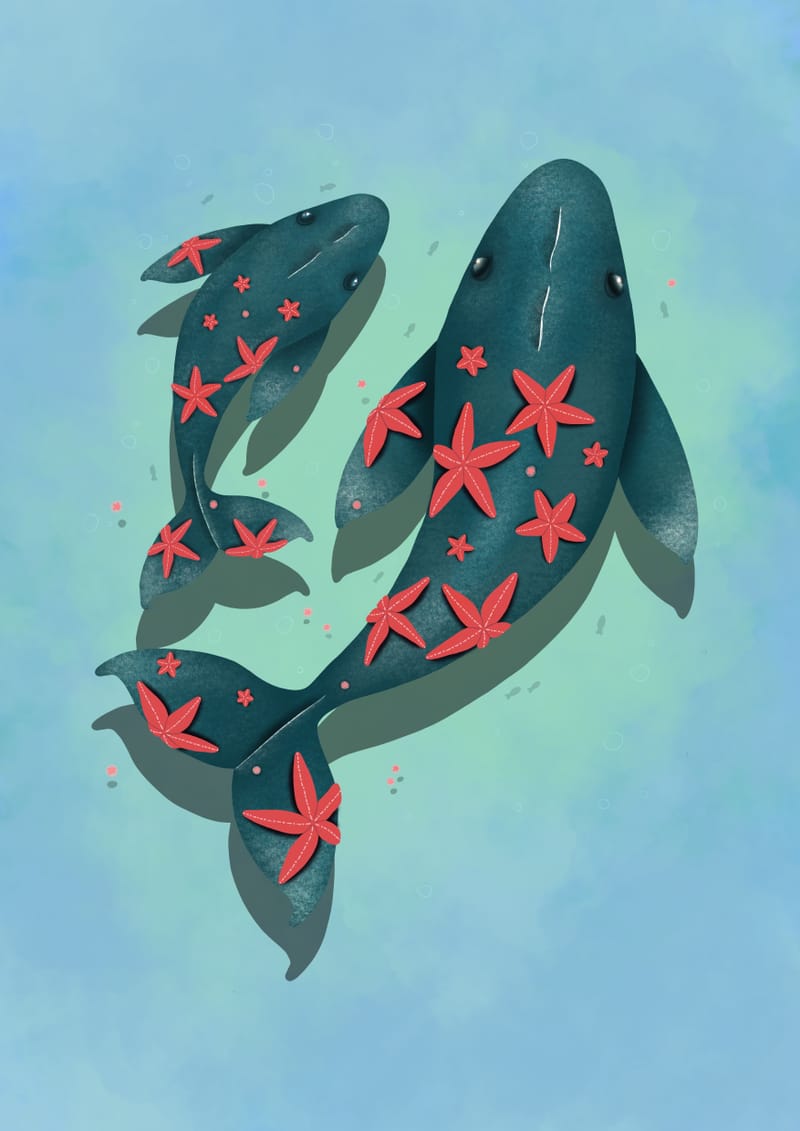 Starfish_Whales.jpg