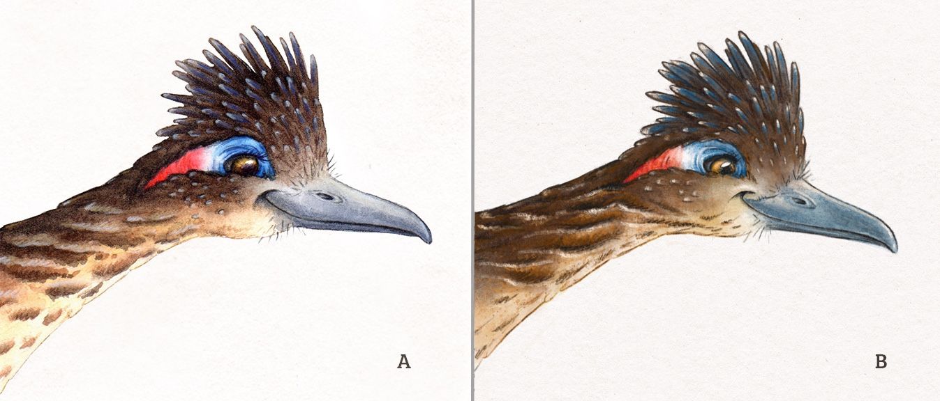 db24ddc6-2a82-432a-9c57-fb083e907bd1-traditional - digital comparison_2.jpg