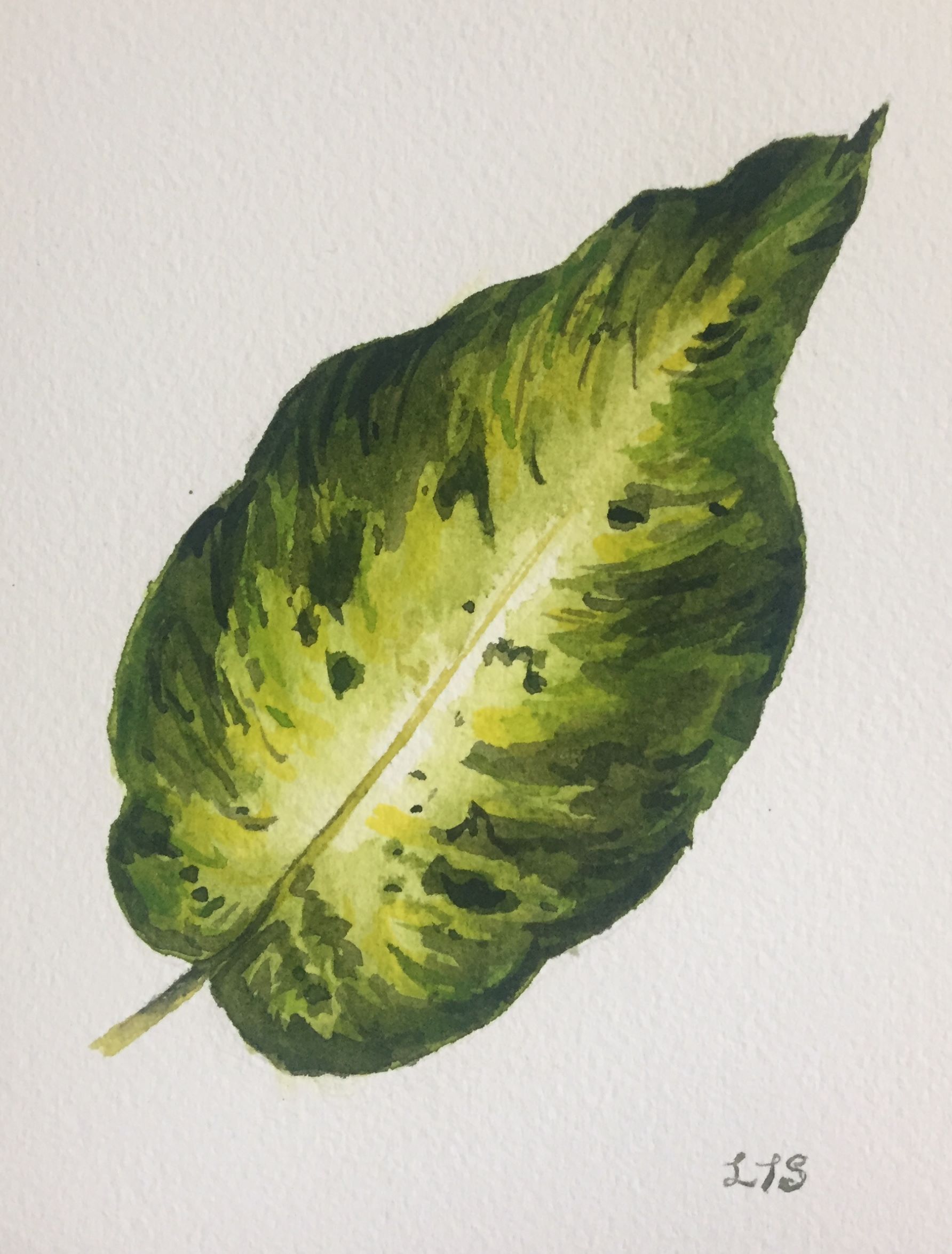 leaf.JPG