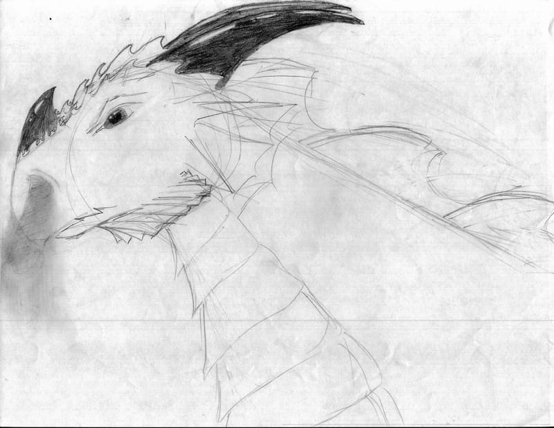 Dragon 1 Sketch.jpg