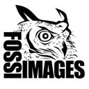 Fossi Images