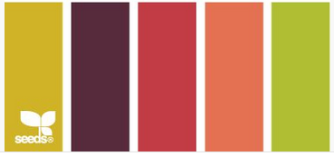 color pallet.PNG