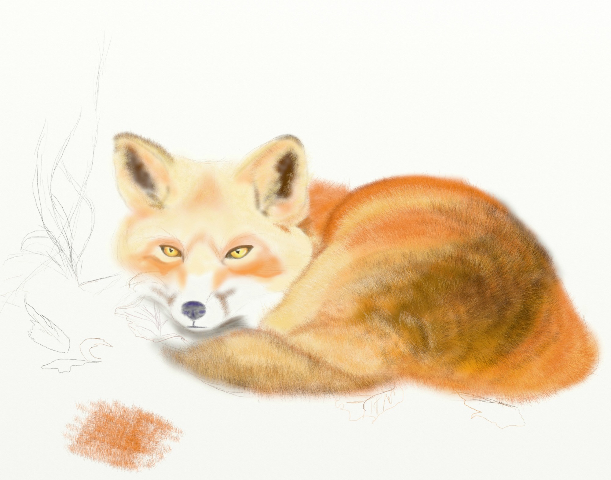 littlefox2wipsmaller.jpg