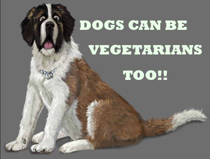 0_1474578847016_VEGETARIAN DOGS.jpg