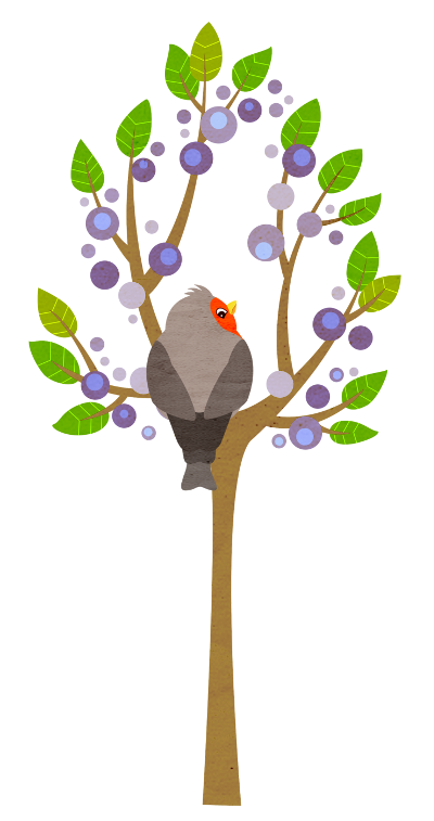 0_1485084986311_Bernadett 2 SVS.png