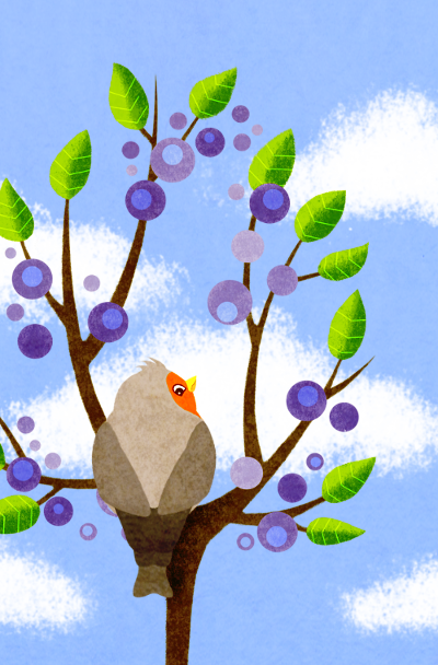 0_1485544548434_Bernadett 4 SVS.png